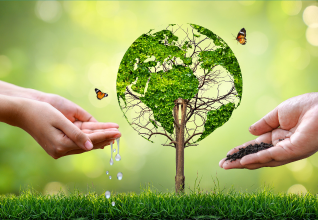 NEBOSH Environmental Management Certificate