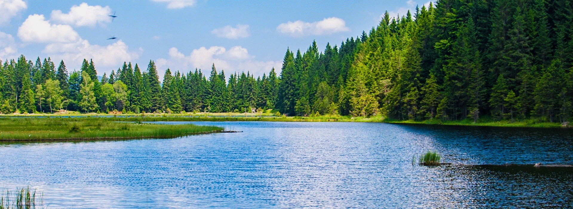 Ligtas Team Members Take on The ‘Lake Escape’ Challenge